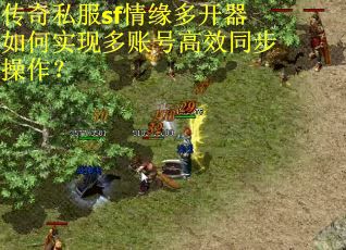 传奇私服sf情缘多开器如何实现多账号高效同步操作？
