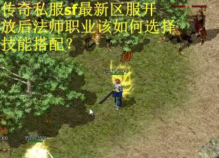 传奇私服sf最新区服开放后法师职业该如何选择技能搭配？