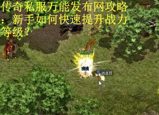 传奇私服万能发布网攻略：新手如何快速提升战力等级？