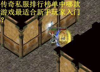 传奇私服排行榜单中哪款游戏最适合新手玩家入门？