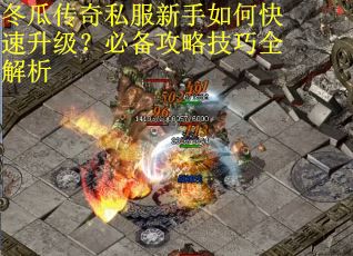 冬瓜传奇私服新手如何快速升级？必备攻略技巧全解析
