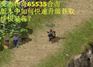 变态传奇65535合击版本中如何快速升级获取终极装备？