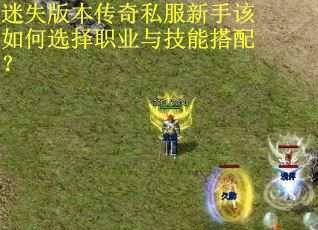 迷失版本传奇私服新手该如何选择职业与技能搭配？