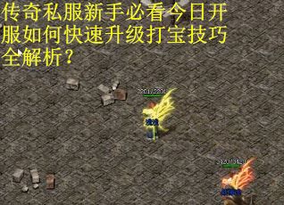 传奇私服新手必看今日开服如何快速升级打宝技巧全解析？