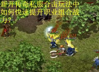 新开传奇私服合击玩法中如何快速提升职业组合战力？