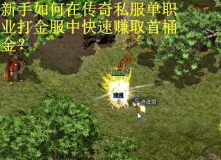 新手如何在传奇私服单职业打金服中快速赚取首桶金？