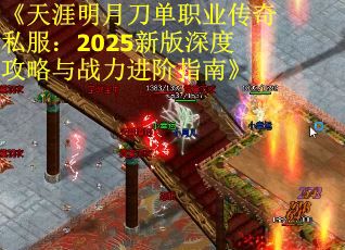 《天涯明月刀单职业传奇私服：2025新版深度攻略与战力进阶指南》