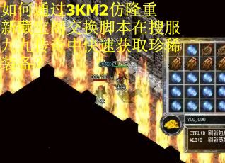 如何通过3KM2仿隆重新藏宝阁交换脚本在搜服九九传奇中快速获取珍稀装备？