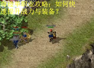 奇迹单职业攻略：如何快速提升战力与装备？